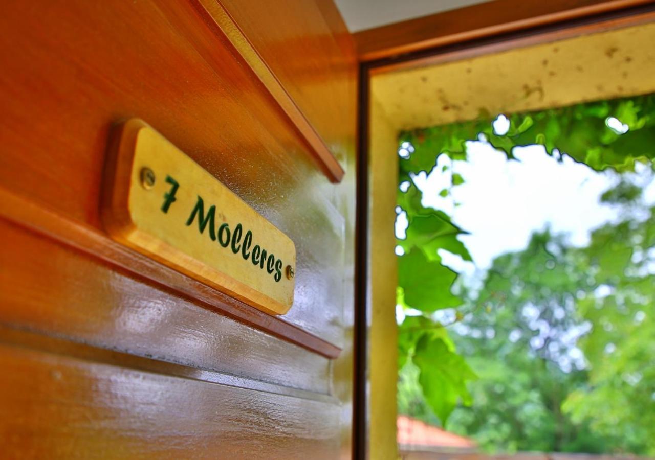 Beau Vallon - Gite Et Chambres D'Hotes Pyrenees-Mediterranee - Pays Catalan Sahorre Екстериор снимка